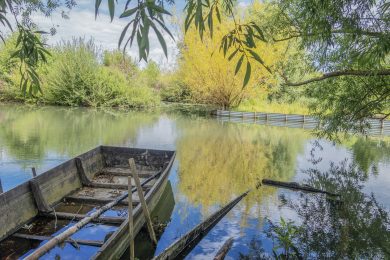 Bourges Marais