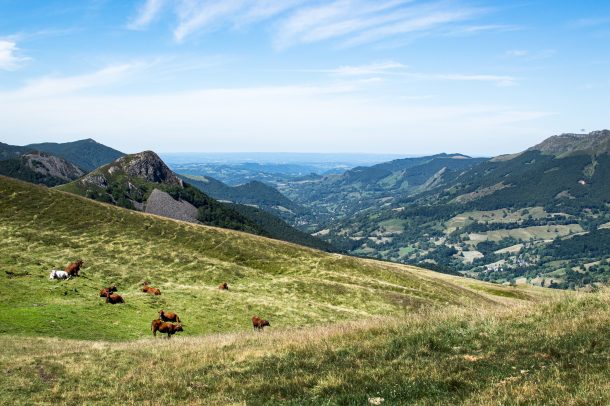 Cantal Montagne