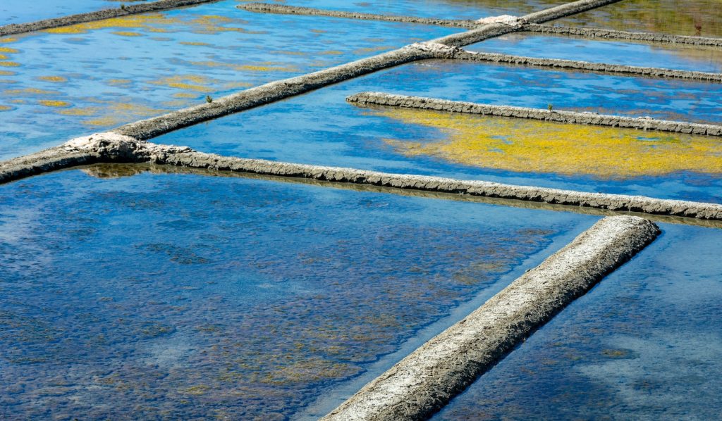 Guerande Marais Salants