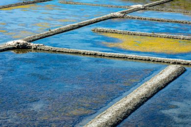 Guerande Marais Salants