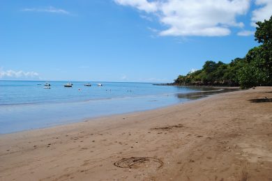Trevani Mayotte