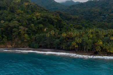 Martinique Montagne