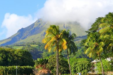 Martinique Montagne Pelee