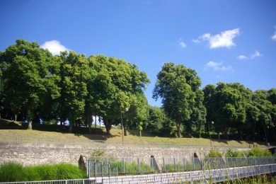 Parc De La Garenne